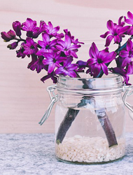 【永久破解版】无需注册的电话闹钟