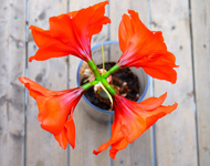 手机号在线轰炸